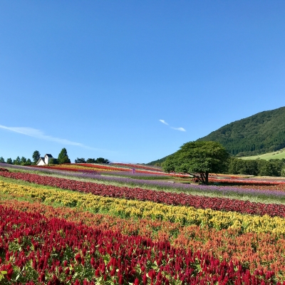 やくらいガーデン株式会社